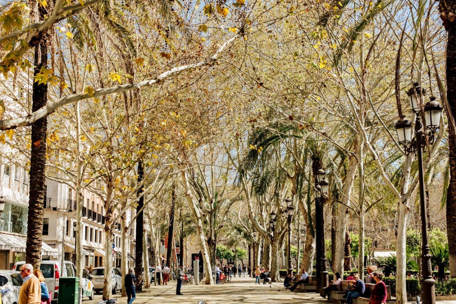 Plaza De La Magdalena I, Sevilla Centro Historico Zewnętrze zdjęcie